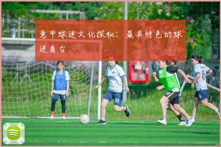 意甲球迷文化探秘：最具特色的球迷看台