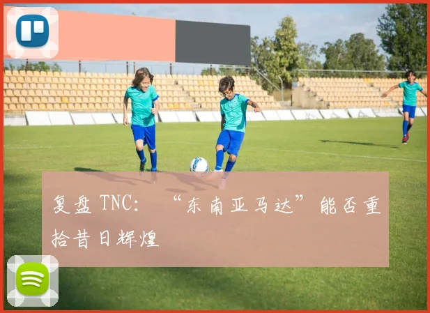 复盘 TNC： “东南亚马达”能否重拾昔日辉煌