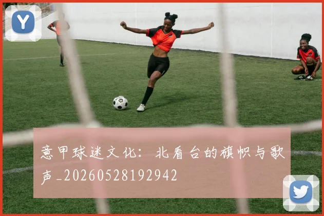 意甲球迷文化:北看台的旗帜与歌声_20260528192942