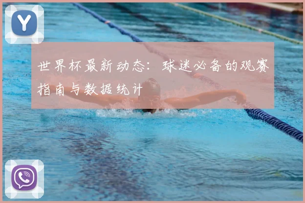 世界杯最新动态：球迷必备的观赛指南与数据统计